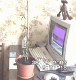 5_1.gif