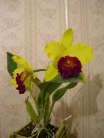DSCN0612.jpg