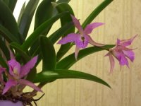 DSCN17402.jpg