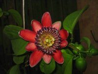 IMG_1856.jpg