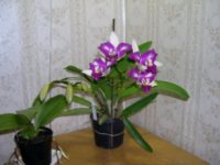 DSCN14081.jpg