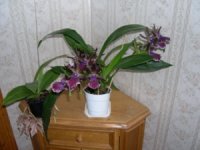 DSCN13851.jpg