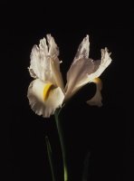 photography-3sm.jpg
