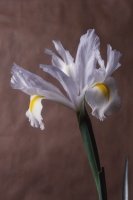 photography-4sm.jpg