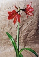 photography-5sm.jpg