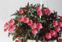 photography-6sm.jpg