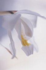 photography-12sm.jpg