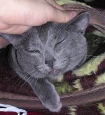 DSCN2972.jpg