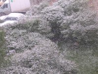 DSCN3078.jpg