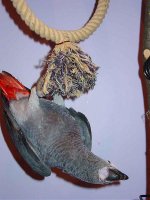 Ханни 044.jpg