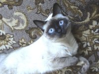 Февраль2007 013.jpg
