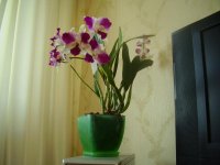 P9280007.jpg