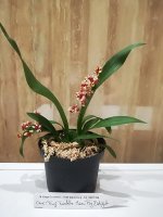 IMG_20180127_120235.jpg