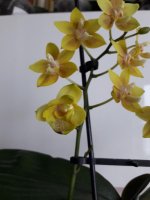 20180120_112857.jpg