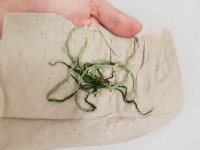 20180403_040114.jpg