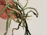 20180403_040143.jpg