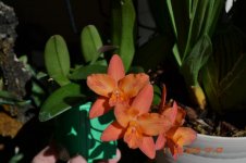 DSC_5774.jpg