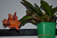 DSC_5785.jpg