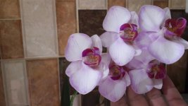 20180705_114352.jpg