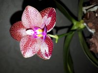 20180904_221602.jpg
