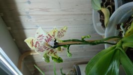 DSC_1088.jpg