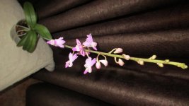 IMG_7834.jpg
