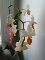 IMG_20191231_155306.jpg