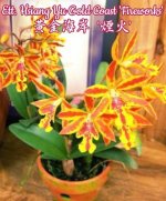 EB788D92-D722-425F-9E21-D77805FBDC3E.jpeg