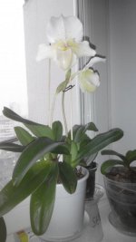 2020116115216.jpg