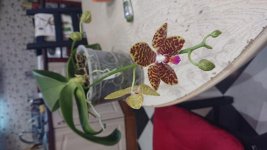 DSC_1221.jpg