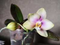IMG_20200125_100026.jpg