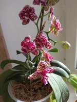 IMG_20200214_113136.jpg