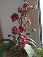 IMG_20200214_113300.jpg