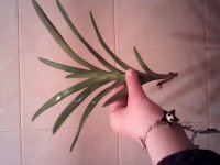 20060430160512.jpg