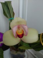 DSC_0598.JPG