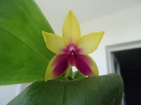 DSC04881.JPG