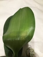 C10D67D1-947E-43E6-BF9E-A8F4DD3D0D4D.jpeg