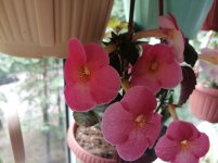 IMG_20200708_160744.jpg