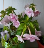 20200709_075306.jpg