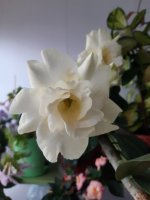 20200709_075519.jpg