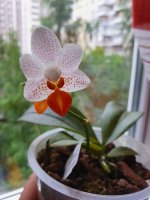 20200707_182726.jpg