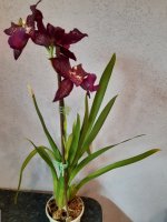 20200708_205722.jpg