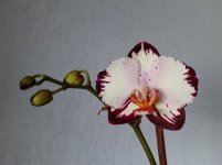 20200720_072353.jpg