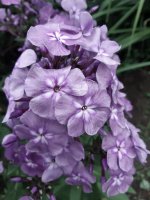 20200717_195738.jpg
