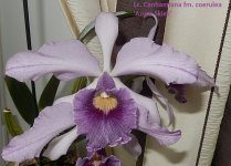 DSCN7538.JPG
