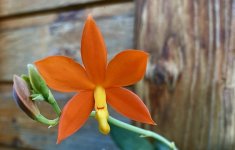 IMG_64671.jpg