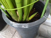 IMG_20200718_094448.jpg