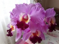20200801_130723.jpg