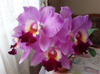 20200801_130636.jpg