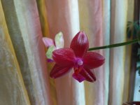 IMG_20200801_082151.jpg